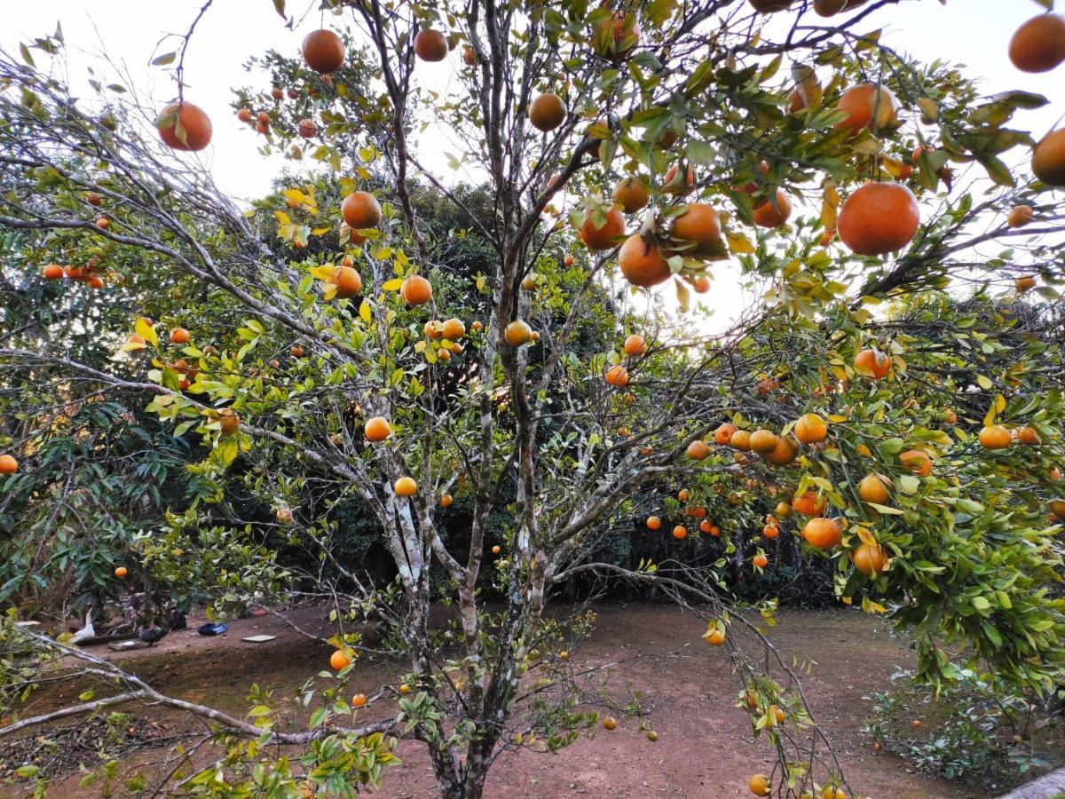 Casa De Campo Lazer Completo Paraiso De Reservas Naturais Em Sp Ibiúna المظهر الخارجي الصورة